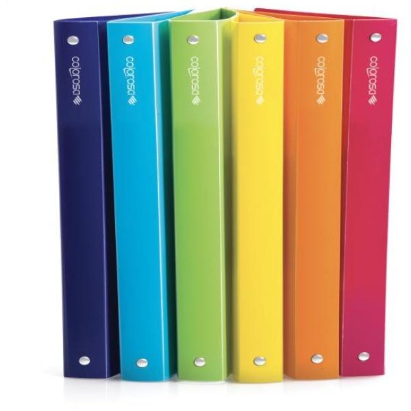 D05646.jpg Raccoglitore 4 Anelli in PPL Colorosa - F.to A/4 - Diametro 15 mm - Colori Assortiti - Ri.Plast Conf. da 6 Pz. - immagine 1