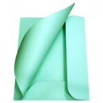 Cartelle 3 Lembi Memotak Gr. 200 Conf. 25 Pz. Colore Verde