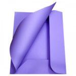 Cartelle 3 Lembi Memotak Gr. 200 Conf. 25 Pz. Colore Viola