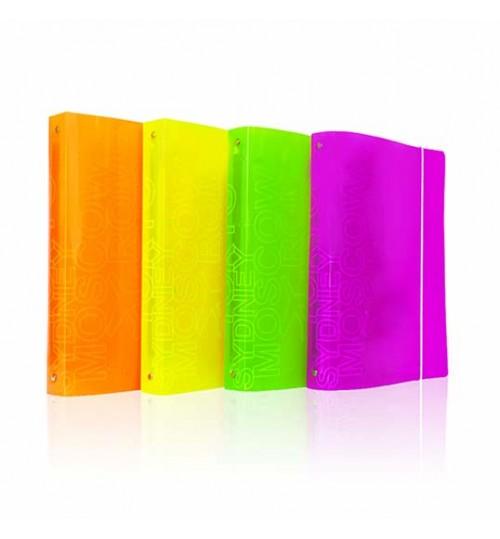 pegasus-cartelle-4-anelli-a4-anelli30-ppl-assortito.jpg Cartelle 4 Anelli Memotak City F.to A/4 Anelli Diam. 16 MM. PPL Conf. da 24 Pz. Col. Assortiti - immagine 1