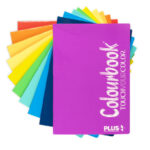 COLOURBOOK Confezione 10 Maxi Quaderni A4 Fluo – 96 Fogli Rigatura A 1° e 2° Elementare