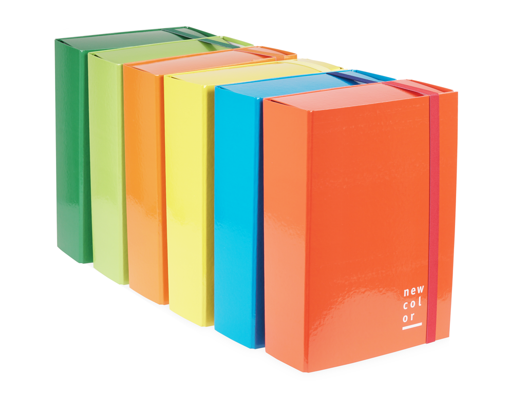 pegasus-cartelle-elastico.png CARTOTECNICA RIDOLFI Cartella Progetti D. 10 con Elastico 25x35 - Conf. 6 Pz. Colori Assortiti - immagine 1