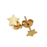 Orecchini Oro Stellina