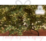 EDG - Albero di Natale Pino Luxury Enzo De Gasperi, con 4000 led, altezza 210 cm - immagine 4