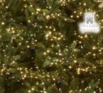 EDG - Albero di Natale Pino Luxury Enzo De Gasperi, con 4000 led, altezza 210 cm - immagine 3