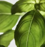 Diffusore di fragranza per ambiente "ACQUA" di DR. VRANJES - immagine 4