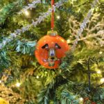 Palla di Natale Winter Magic PLUTO di Egan