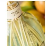 Fragranza per ambiente "Ginger Lime" dr. Vranjes